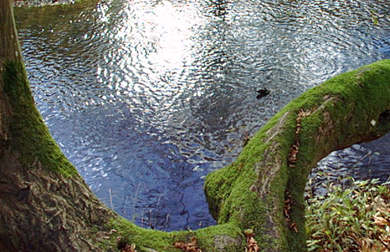 Sur les bords de la riviere