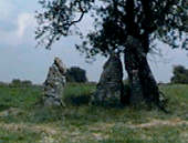 Menhir