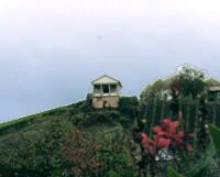 Temple romain