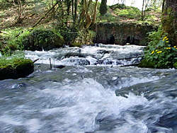 Cascade pres d'Orval