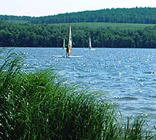 Planche a voile sur le Lac