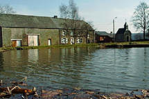 Nassogne, pres de l'etang