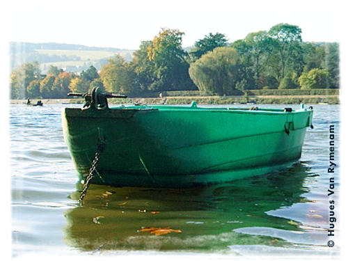 Barque a Dave